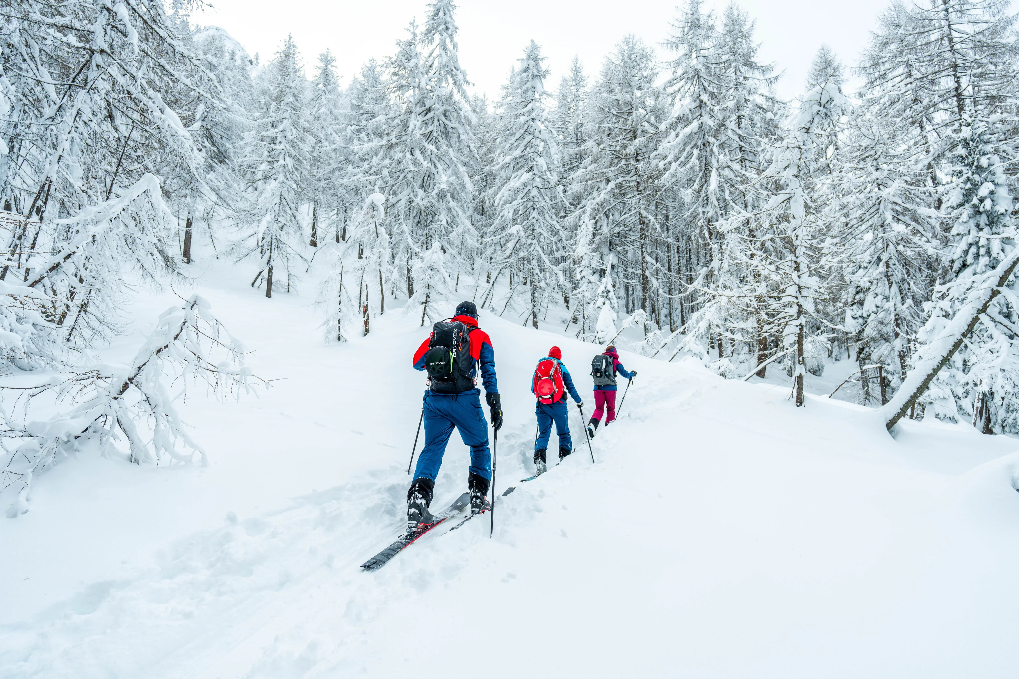 CORE Carbon 92 - Image 6